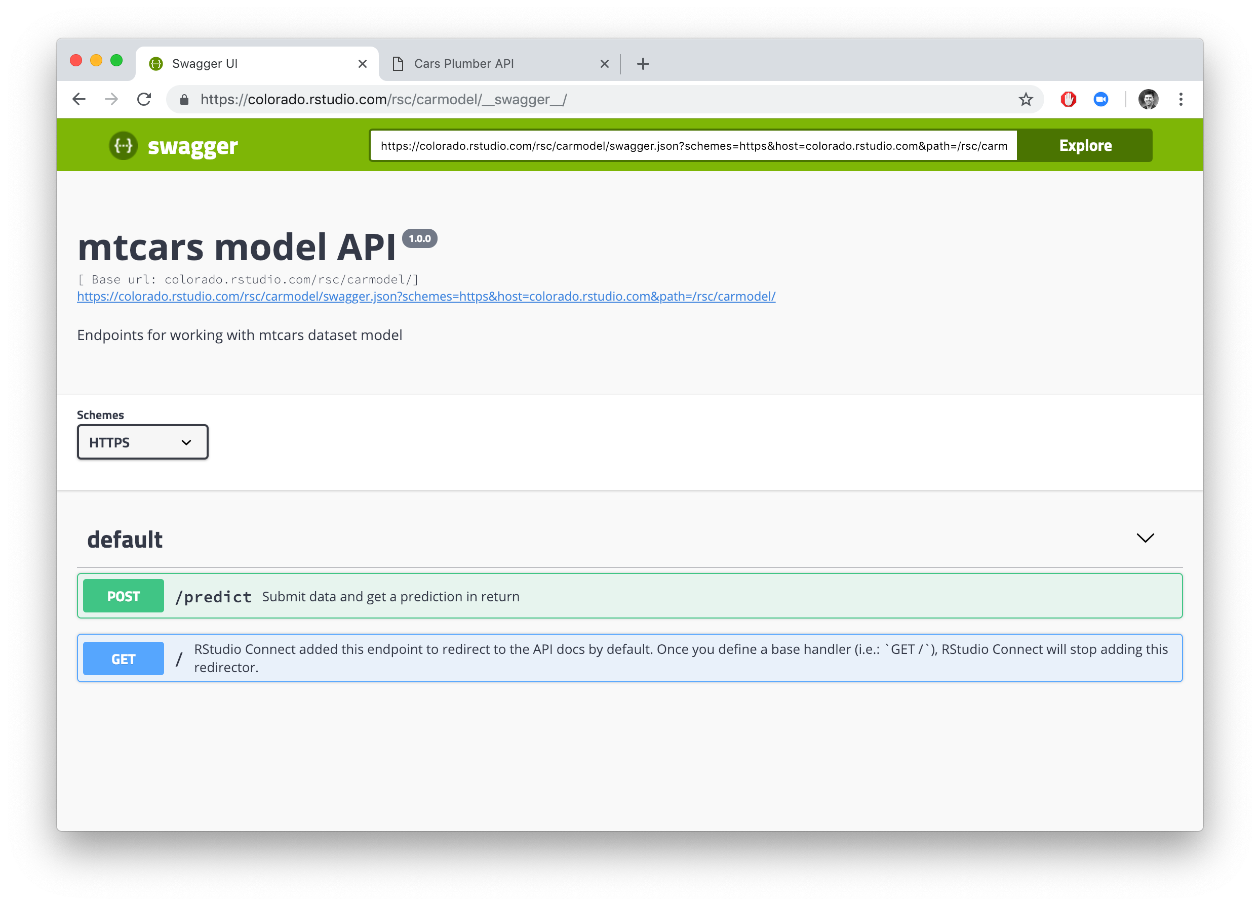Screenshot of the API deployed on Connect.