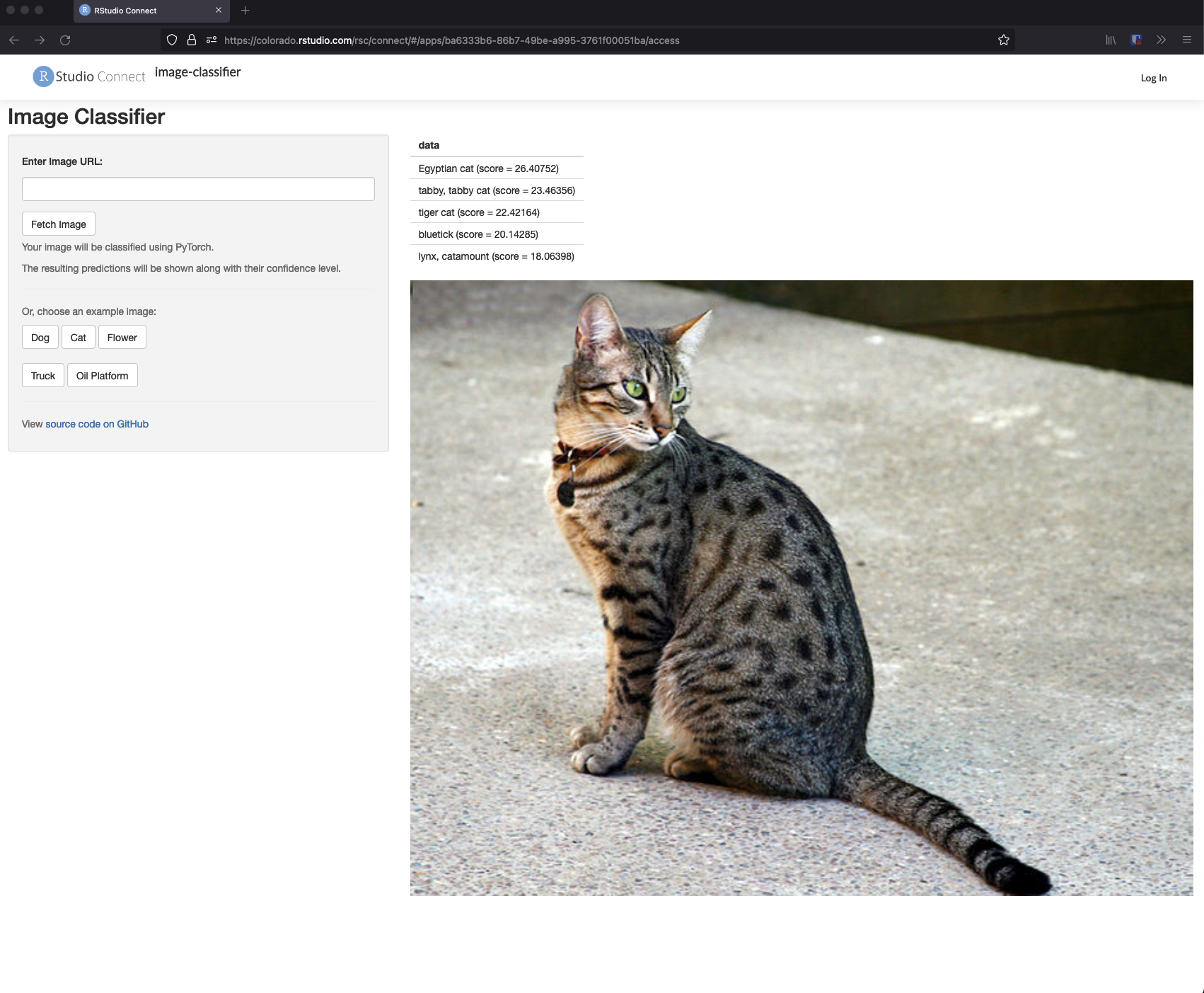 Screenshot of Image Classifier app deployed to Connect