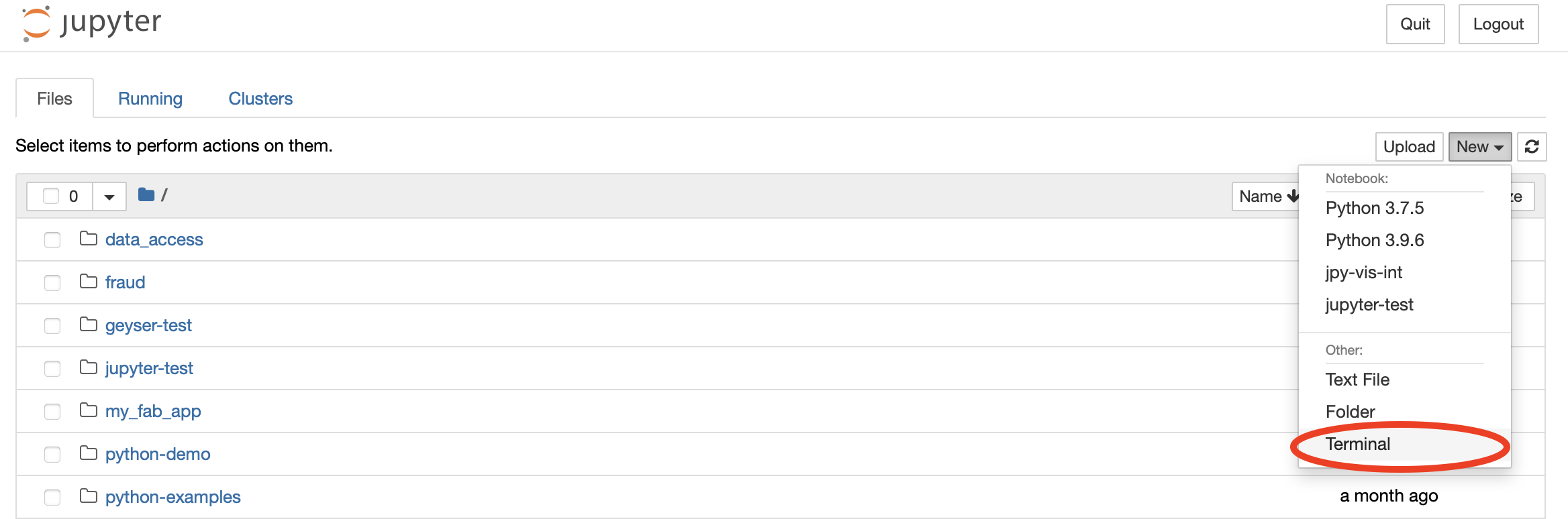 Screenshot of starting a new Jupyter terminal from the New drop down menu.